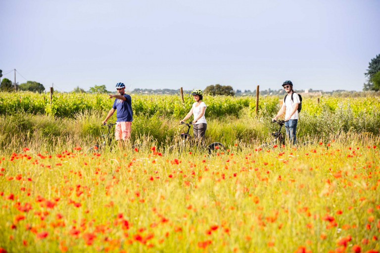 Balade à vélo et en trottinette dans les vignes