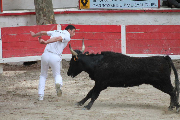 Course camarguaise