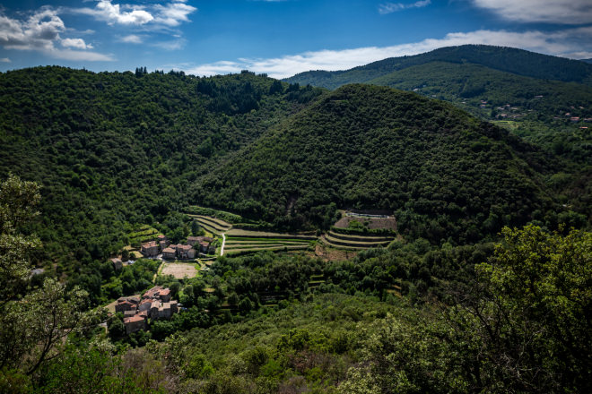 Culture en terrasse en Sud Cévennes