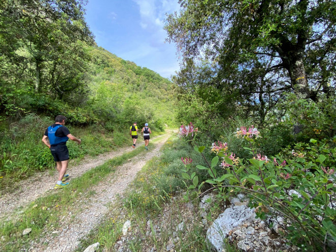 Course à pied sur les chemins du viganais
