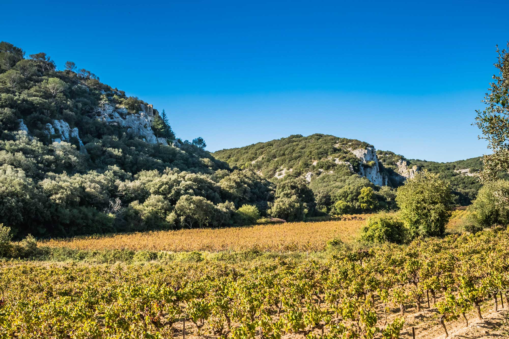 Randonnées à vélo en Provence dans le Gard