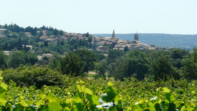Vue sur le village de Saint Quentin La Poterie avec un champ de vignes