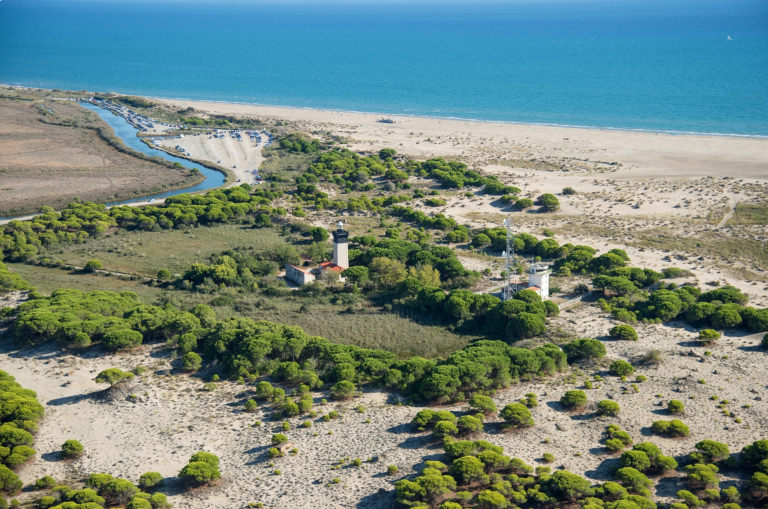 Vue aérienne de la plage et du phare de l’Espiguette