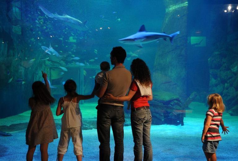 ort Camargue, Séaquarium