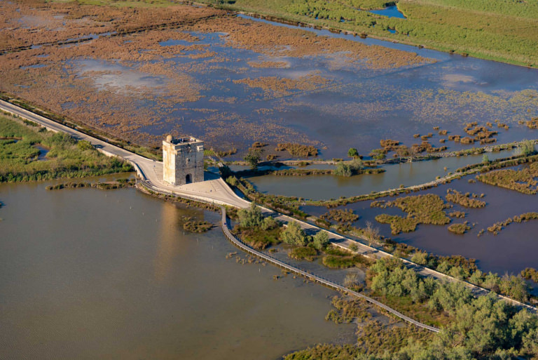 Tour Carbonnière et marais