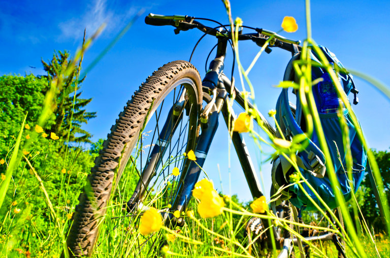 Une pause en vélo, bouton d'or