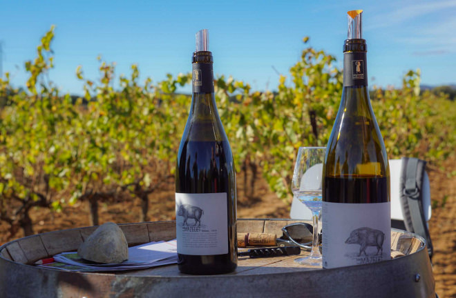 Dégustation dans les vignes pendant l'évènement festif des Vignes Réboussières