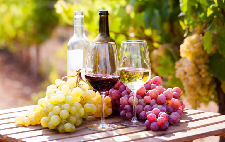 Verres de Vin des Cévennes