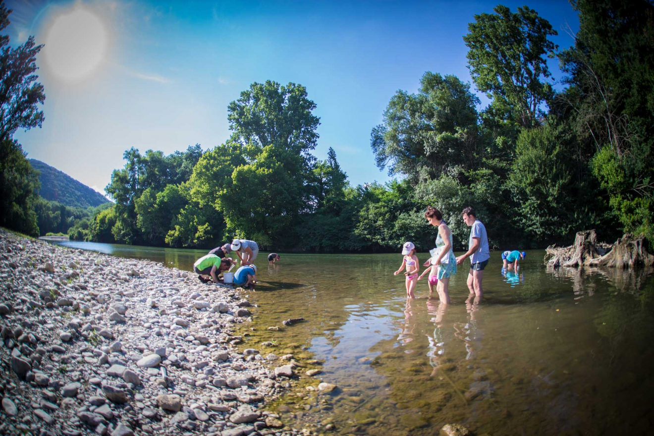 Découverte de la faune aquatique dans la Cèze à Méjannes le Clap