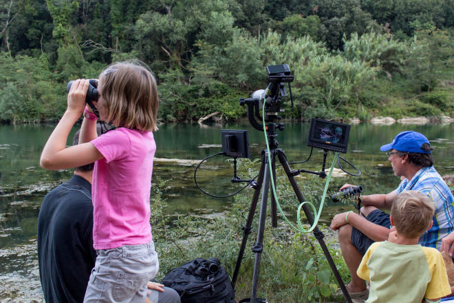 Observation naturaliste dans les gorges du Gardon