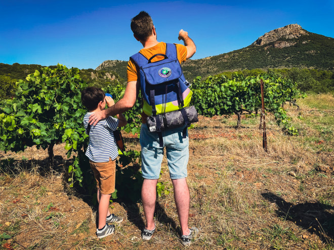 Le comporte dans les vignes