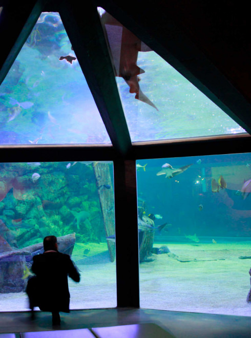 Seaquarium