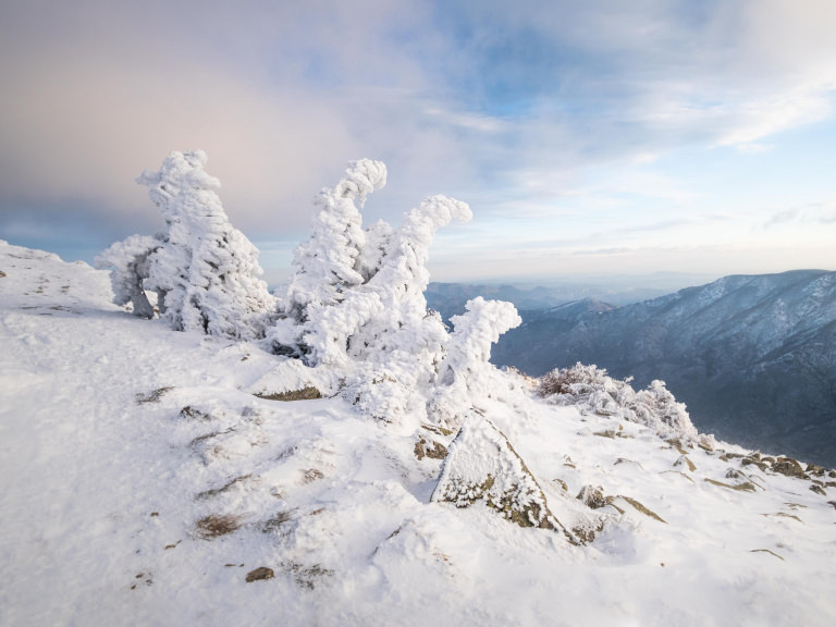 Mont Aigoual enneigé