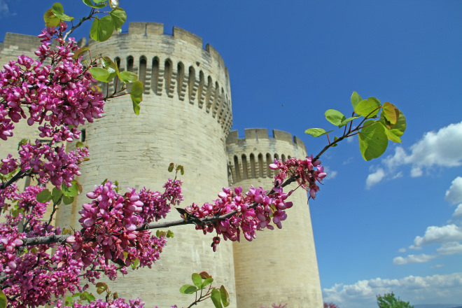 Le Fort Saint André au printemps