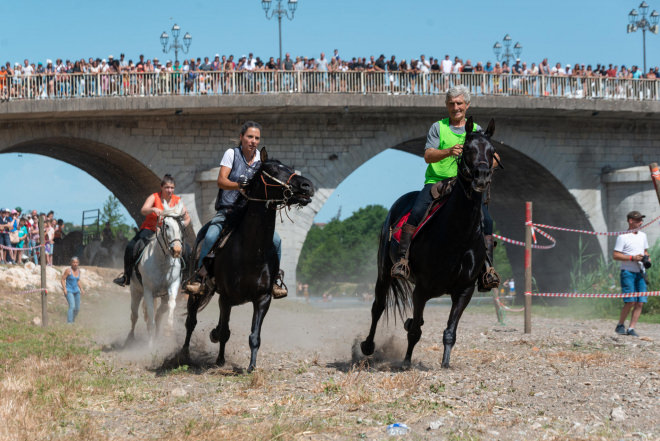 Ales, chevaux pendant la féria