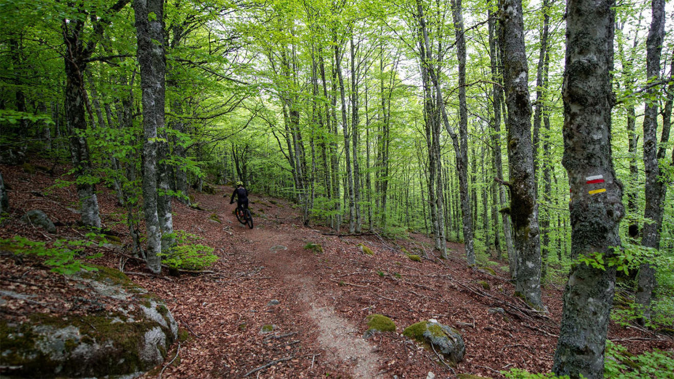 VTT en Cévennes