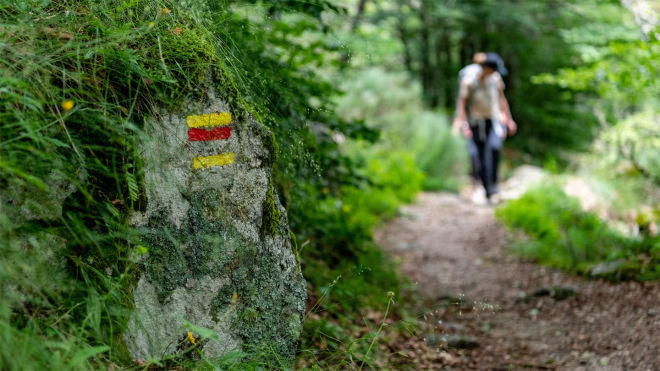 Randonnée pédestre en Cévennes