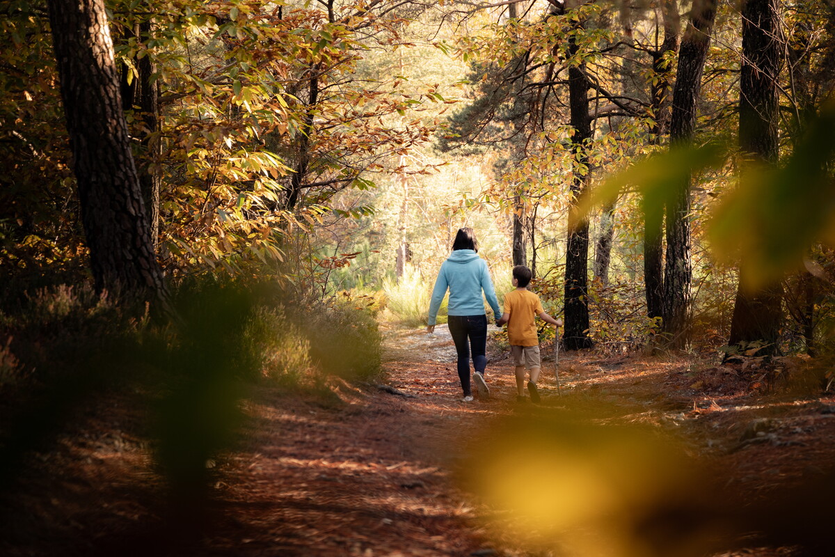 Balade Automne