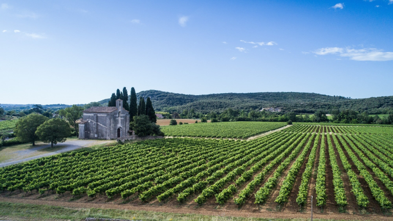 Vignoble Eglise Saint-Baudile