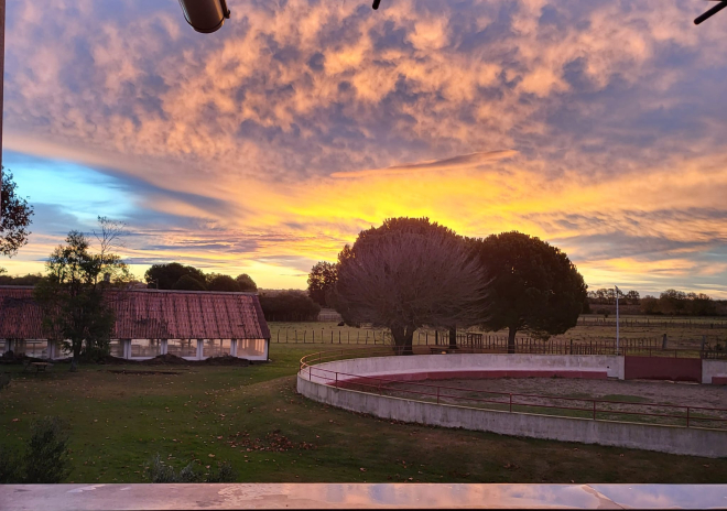 Manade Saint-Louis (c) Karine GROUL - 3 (1)