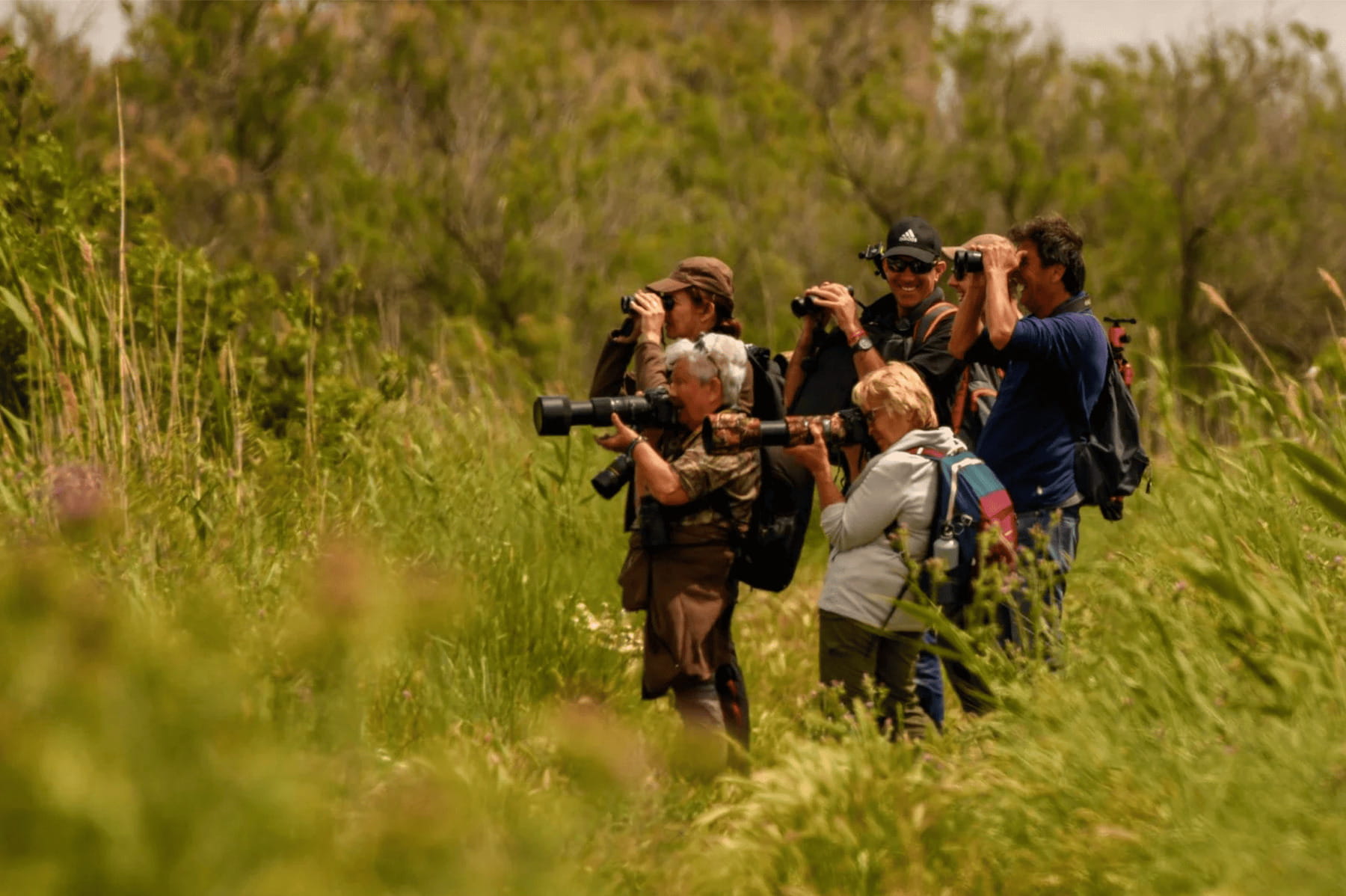Photographe Camargue